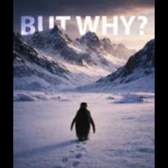 Тимур Саидов, 30.06.1988, Москва