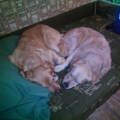 Доминика Трофимова, 07.02, Санкт-Петербург