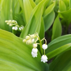 Юлия Хорошильцева, 27.05, Воронеж