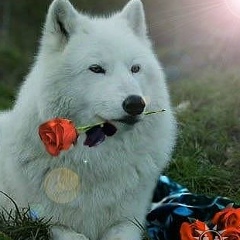 Олег Зацепин, 27.10.1987