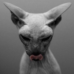 Анюта Богданова, 12.03