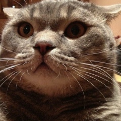 Никита Воропаев, 29.01, Астрахань