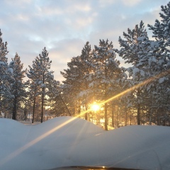 Анна Александровна