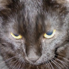 Ирина Варакина, 12.06.1988, Нижний Новгород