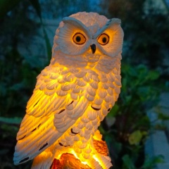 Людмила Нечаева, 11.04, Архангельск