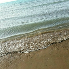 Зая Дамирова