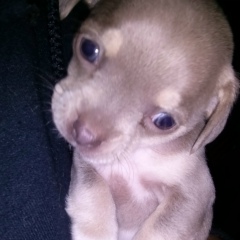 Mónica Ibarra, 07.05.1987, Celaya