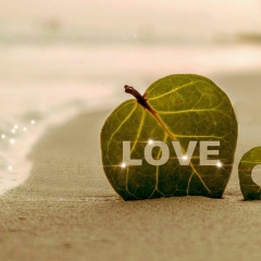 Tuka Bekov, 19.07.1993, Актау