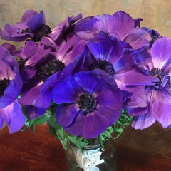 Анастасия Алексанова, 11.11.1989, Дмитров