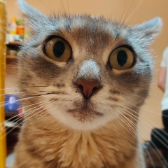 Леонид Спирин, Москва