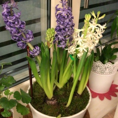 Bibinur Ilazhieva, 19.09, Алматы