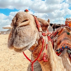 Дмитрий Факин, 19.10, Москва