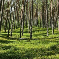 Юрий Резанов, 11.04, Санкт-Петербург