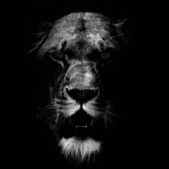 Mirzabaev Ilyas, 02.11, Кызылорда