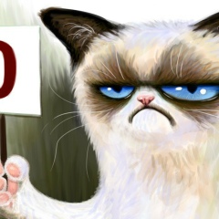 Евгения Даниленко, 24.11, Запорожье