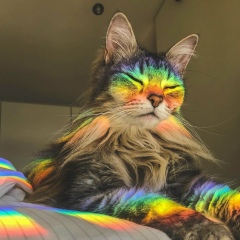 Алмаз Муксинов, 18.11.1992, Нижнекамск