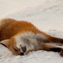 Татьяна Крамарчук, 11.01.1986, Санкт-Петербург