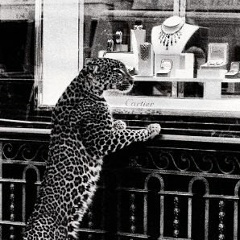 Жанна Шторкина, 06.01, Москва