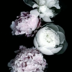 Оксана Ясенкова, 24.12, Москва