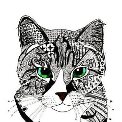 Павел Кот, Москва