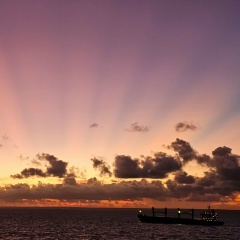 Александра Крихели