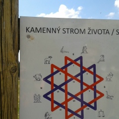 Oksana Galychpikuza, 21.01.1964, Praha