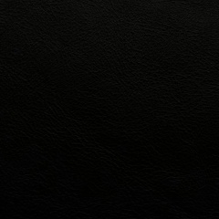 Rodion Rotgolts, Санкт-Петербург