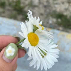 Акон Акон, 26.04.1996, Алматы