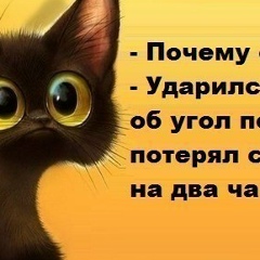 Наиля Омаровна, 31.08, Санкт-Петербург