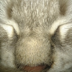 Елена Петрова, 28.06, Санкт-Петербург