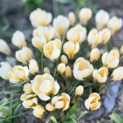 Елена Маслова, 28.04.1981, Лобня