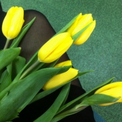 Ульяна Семенюта, 05.11, Новосибирск