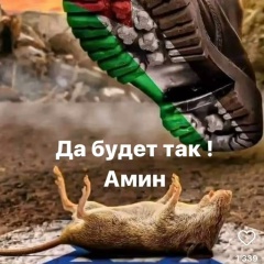 Илона Оглы, 24.11, Санкт-Петербург