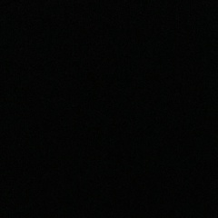 Арина Гумилева, Санкт-Петербург