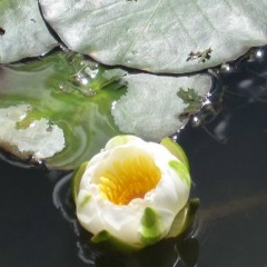 Надежда Зайцева, 02.06.1985, Калининград