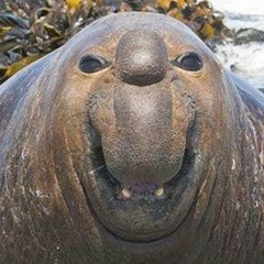 Петр Тушевский, 24.06.1986, Санкт-Петербург