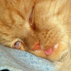 Андрей Панасенко, 05.05, Москва