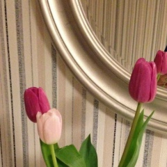 Aliya Irgibayeva, 01.06.1988, Алматы