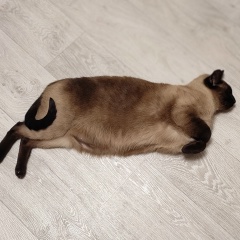 Леонид Слюсаренко, 16.09.1987, Одесса