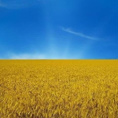 Айнұр Тоқбай, 24.09.1997, Алматы