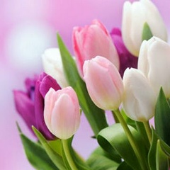 Marzhan Amrenova, 14.10, Алматы