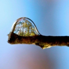 Анастасия Рудзик, 10.04.1985, Курск