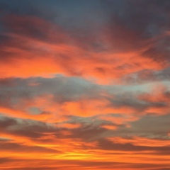 Александр Петраев, Москва