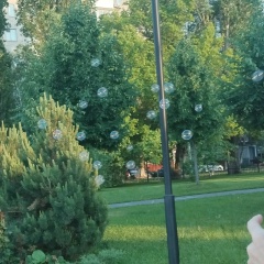 Светлана Горбулева, Саратов