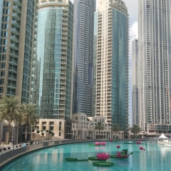 Александр Турчинов, Dubai