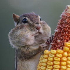 Наталья Байкалова, 14.03