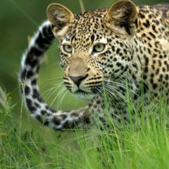 Азамат Джумабаев, 18.03.1986, Костанай