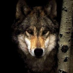 Джохар Дудаев, 30.01.1995, Москва