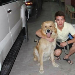 Chingis Taneke, 26.03.1988, Алматы