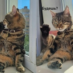 Александр Юрьевич, Новосибирск